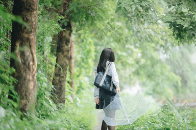 Rear view of woman standing amidst trees in forest