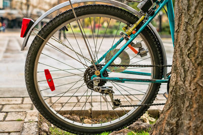 Rear wheel of city bike leaning against a tree