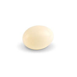 Close-up of egg against white background