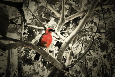 Bird perching on branch