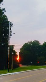 Road by trees against sky