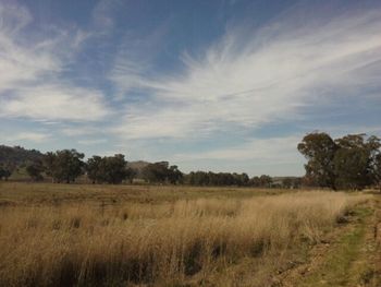 Scenic view of grassy field against cloudy sky