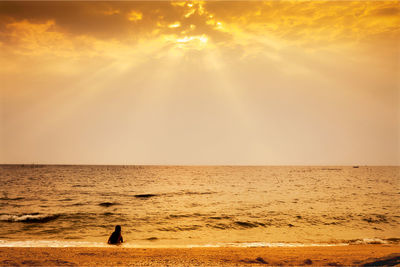 Silhouette man on beach against sky during sunset