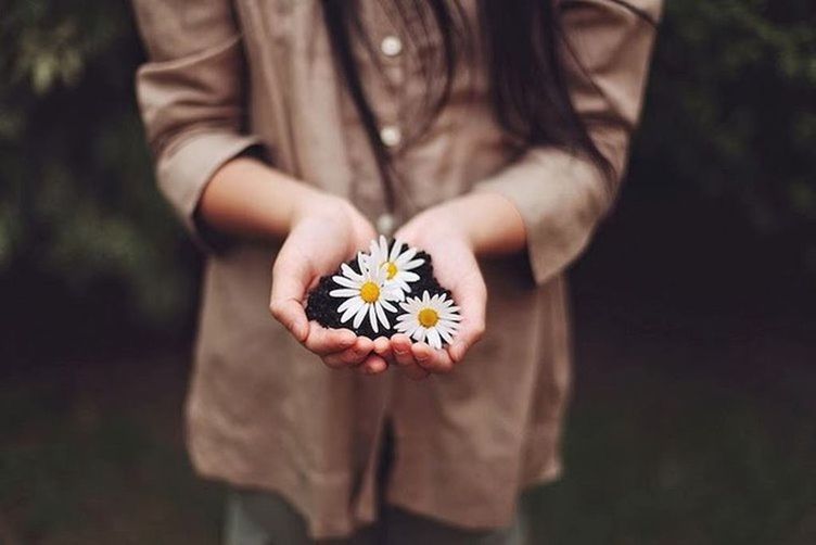 CLOSE-UP OF HAND HOLDING RED DAISY FLOWER