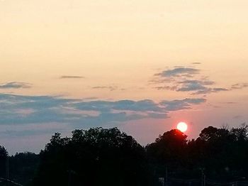 Low angle view of silhouette trees against sky during sunset