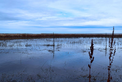 Scenic view of lake against sky