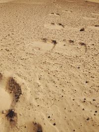 High angle view of footprints on sand at beach