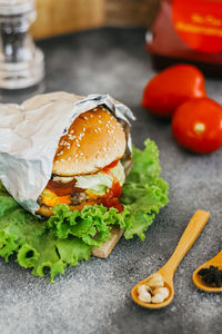 Meat burger with vegetable in tasty seasoning