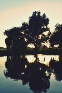 Silhouette trees by lake against sky during sunset