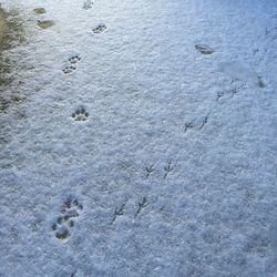 Full frame shot of white background