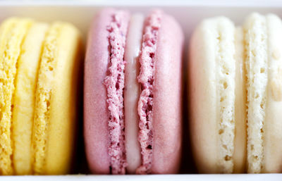 Close-up of macaroons in box