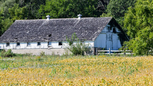 House on field by trees