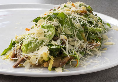 Close-up of fresh salad with grilled duck meat in plate