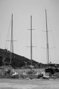 Boats moored at harbor