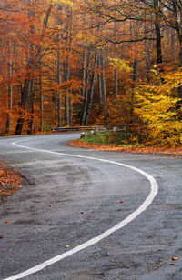 Scenic view of curved road passing through forest in autumn