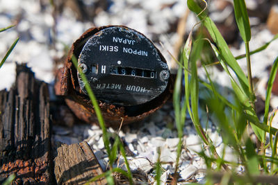 Close-up of plants on field