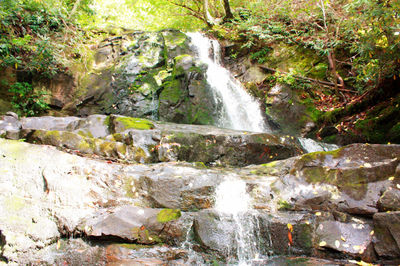 Scenic view of waterfall