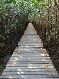 View of wooden boardwalk in forest