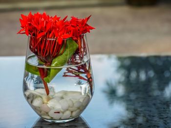Close-up of red rose on glass table