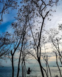 Trees by sea against sky