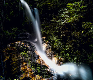 Scenic view of waterfall in forest