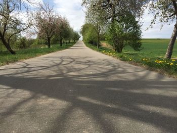 Empty road amidst trees against sky