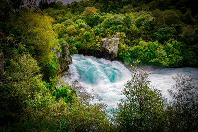 Scenic view of waterfall in forest