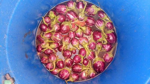 Directly above view of eggplants in blue bucket