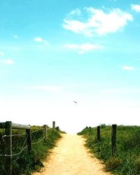 the way forward
