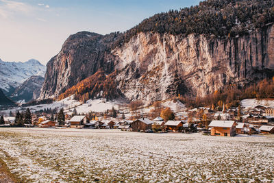 Snow covered trees and buildings against sky