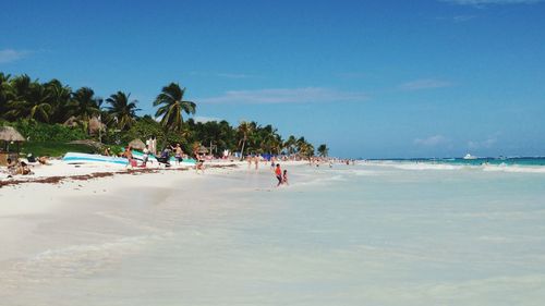 Palm trees on beach against sky