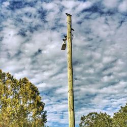 Low angle view of tree against sky
