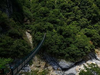 High angle view of footbridge over river in forest