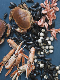 Seafood against blue wooden background