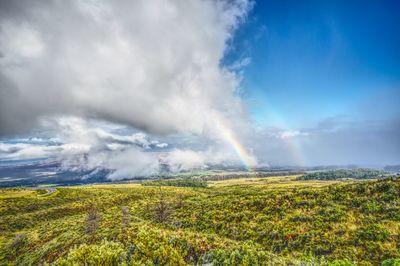 Scenic view of field against sky