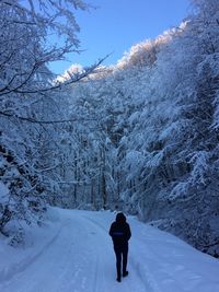 Rear view of person walking on snow covered trees