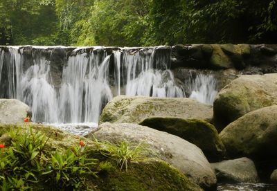Scenic view of waterfall in forest