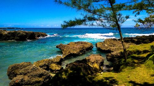 View of rocks on beach