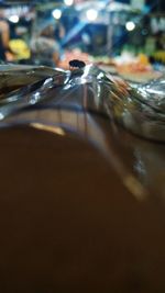 Close-up of insect on glass