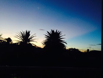 Silhouette palm trees at sunset