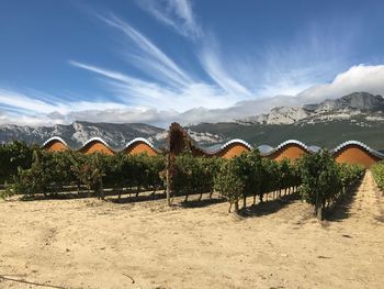 Panoramic view of landscape and mountains against sky