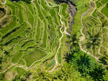 High angle view of beach