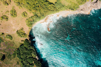 Aerial view of beach