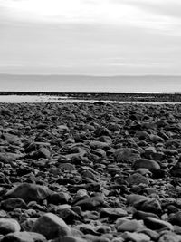 Close-up of pebbles on beach against sky