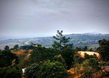 Scenic view of forest against sky