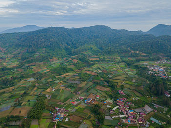 environment