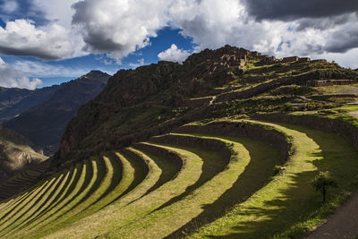 Scenic view of farm against sky