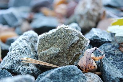 Close-up of rocks