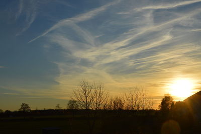 Silhouette trees on landscape against sky at sunset
