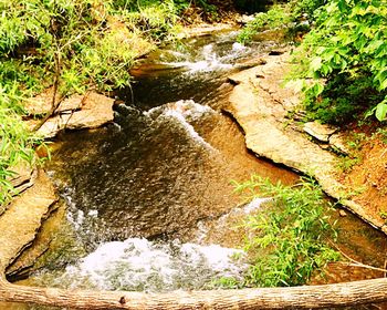 Stream flowing through rocks